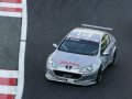 Soheil Ayari. WTCC SPA 2005 (&copy; WTCC Media)
