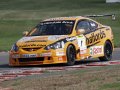 Matt Neal. 2006 Snetterton  (© PSP Images)